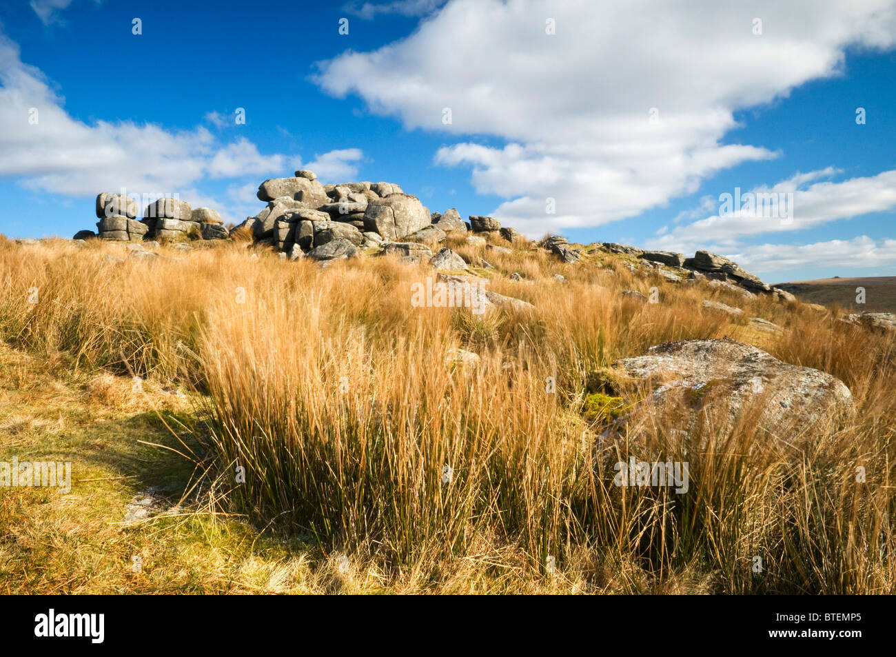 Blick auf den schwarzen Tor auf Dartmoor mit Wind geblasen Rasen im Vordergrund und blauer Himmel mit weißen Wolken, Devon UK Stockfoto