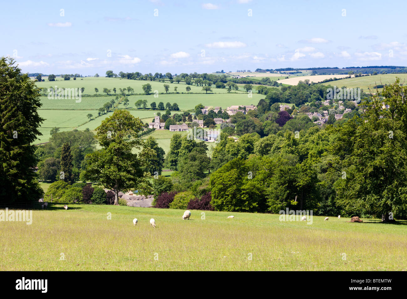 Schafe grasen auf den Hügeln oberhalb der Cotswold Dorf Guiting Power, Gloucestershire Stockfoto