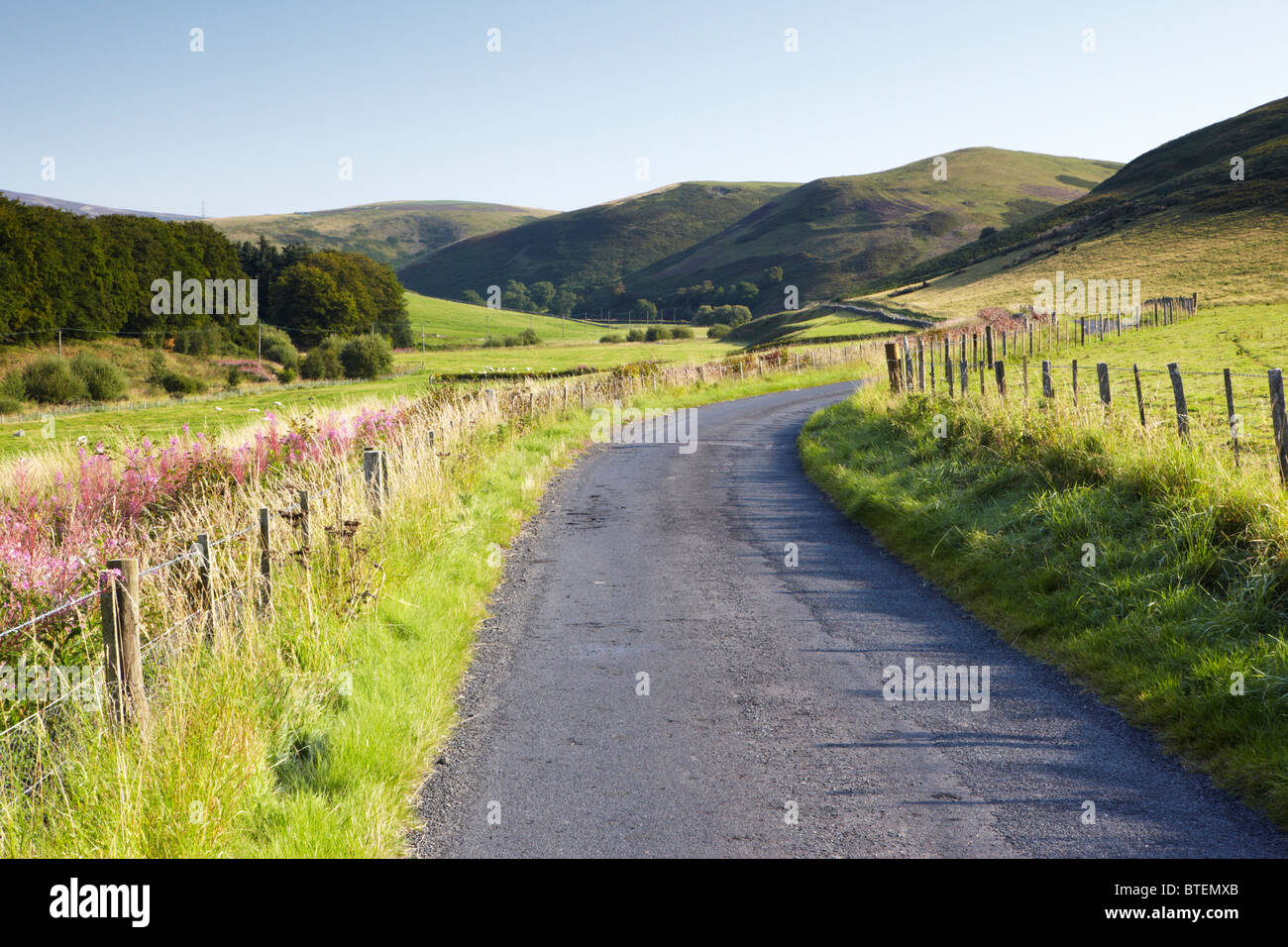 Straße in die Lammermuir Hügel, Scottish Borders Stockfoto