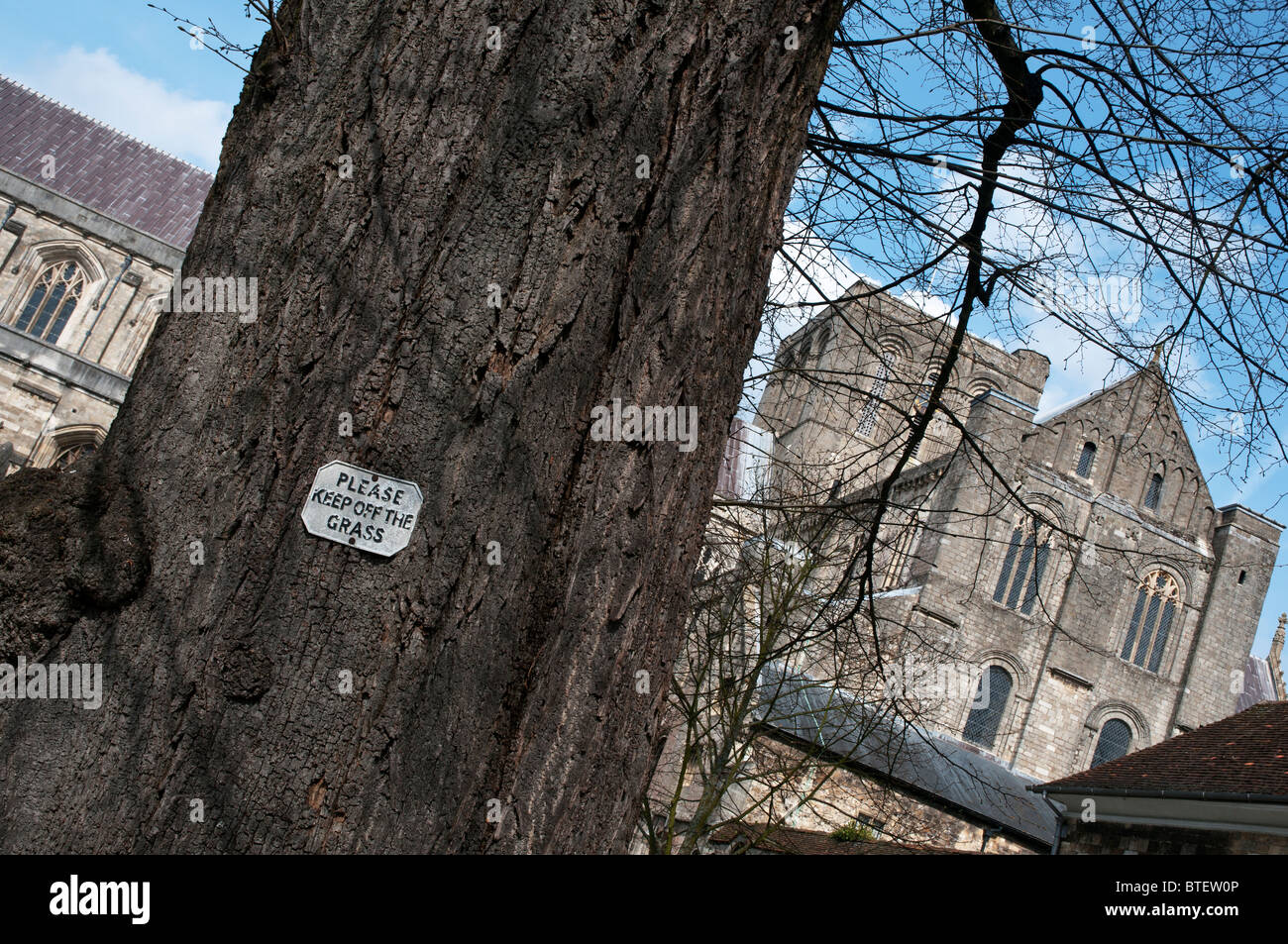 Ansicht der Kathedrale von Winchester in Hampshire England mit halten des Zeichens Rasen auf alten Baum Stockfoto