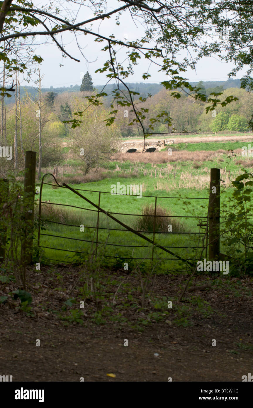 alte verlassene Land Tor zeigt offenes Feld und Bäume über Stockfoto