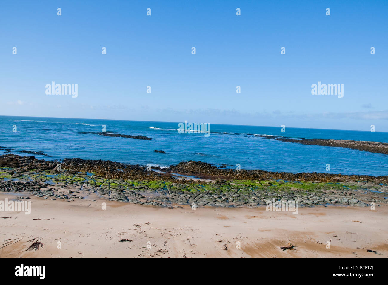 Sandy Bay, Nugget Point Lighthouse, Catlins, Südinsel, Neuseeland Stockfoto