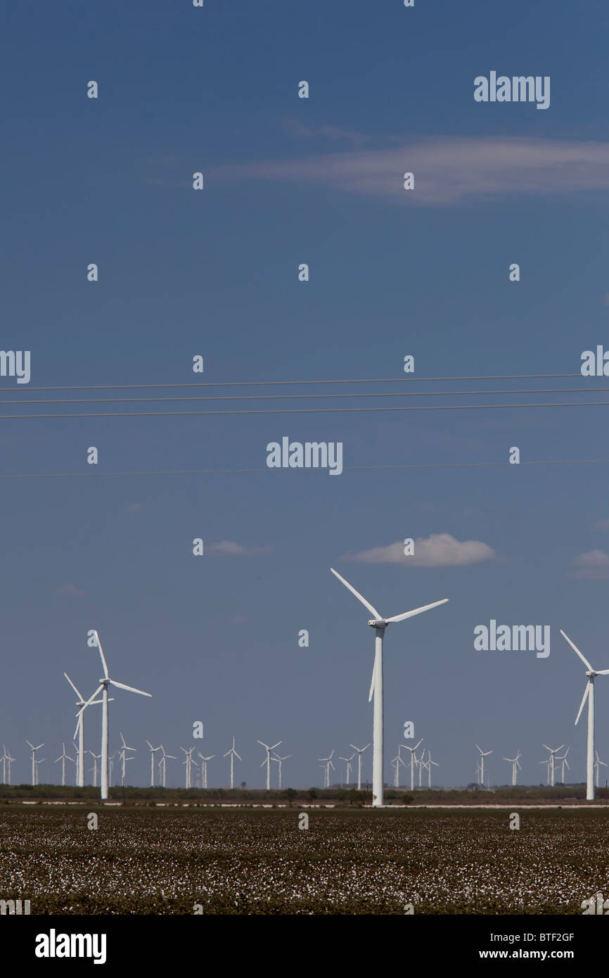 Colorado City, Texas - Windkraftanlagen in ein Baumwollfeld in West-Texas. Stockfoto
