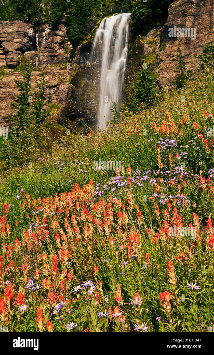 Crooked Creek Falls; Bird Creek Wiesen, Mount Adams Recreation Area, Yakama Indian Reservation, Washington. Stockfoto