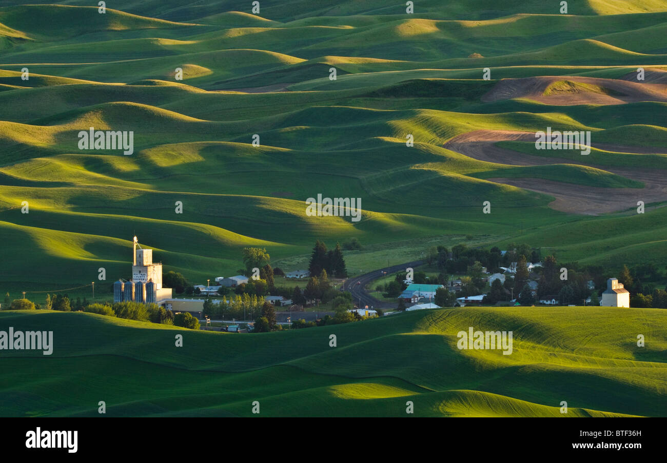 Palouse Land Weizenfelder und die Stadt Steptoe aus Steptoe Butte, Washington. Stockfoto