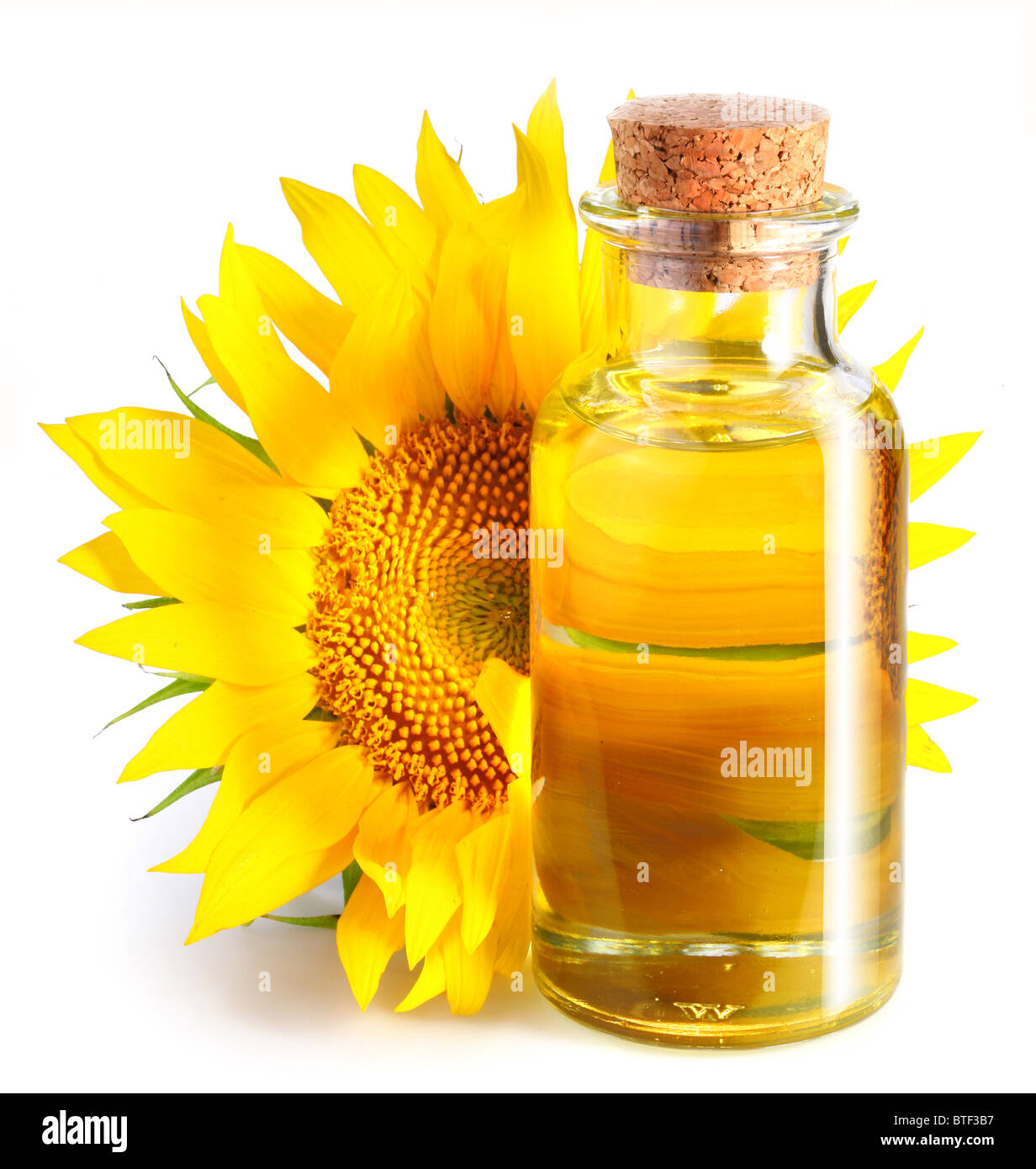 Eine Flasche Sonnenblumenöl mit Blume auf einem weißen Hintergrund. Stockfoto