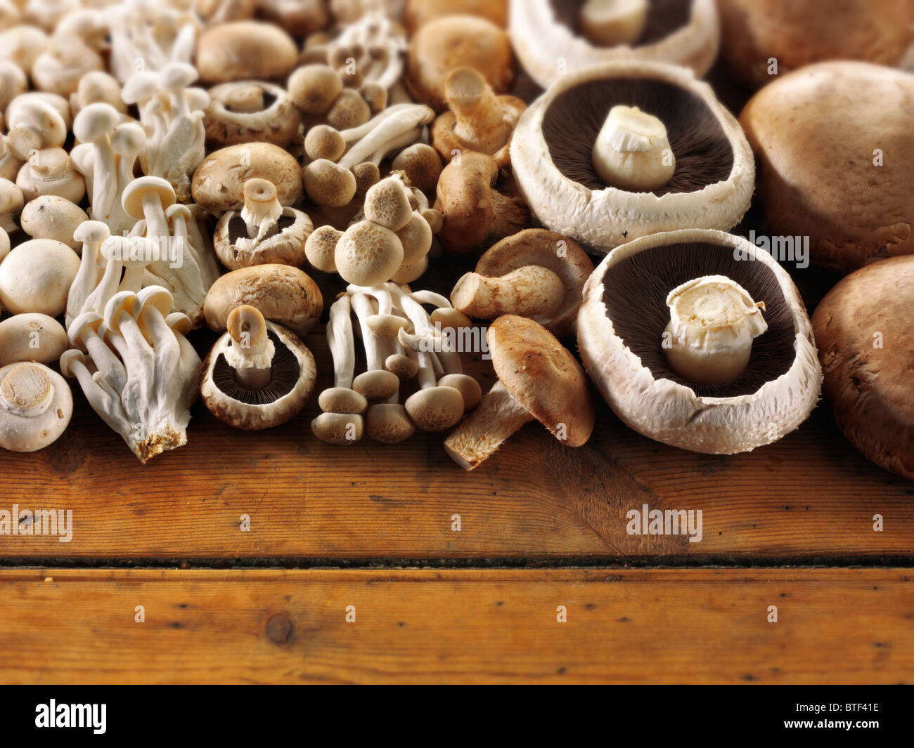 Frisch roh gemischt ganze kultivierte Pilze auf einem rustikalen angeordnet Holztisch Stockfoto