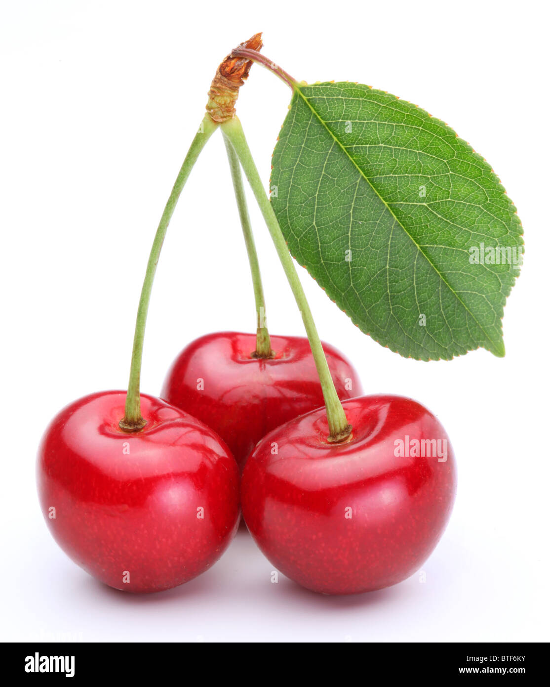 Drei Kirschen mit Blatt isoliert auf einem weißen Hintergrund. Stockfoto