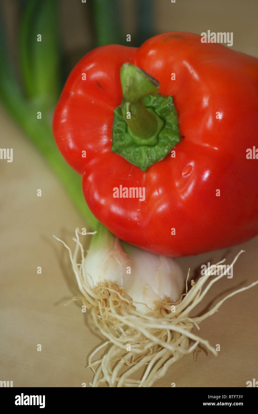 rote Paprika, Lauch, Gemüsegarten Stockfoto