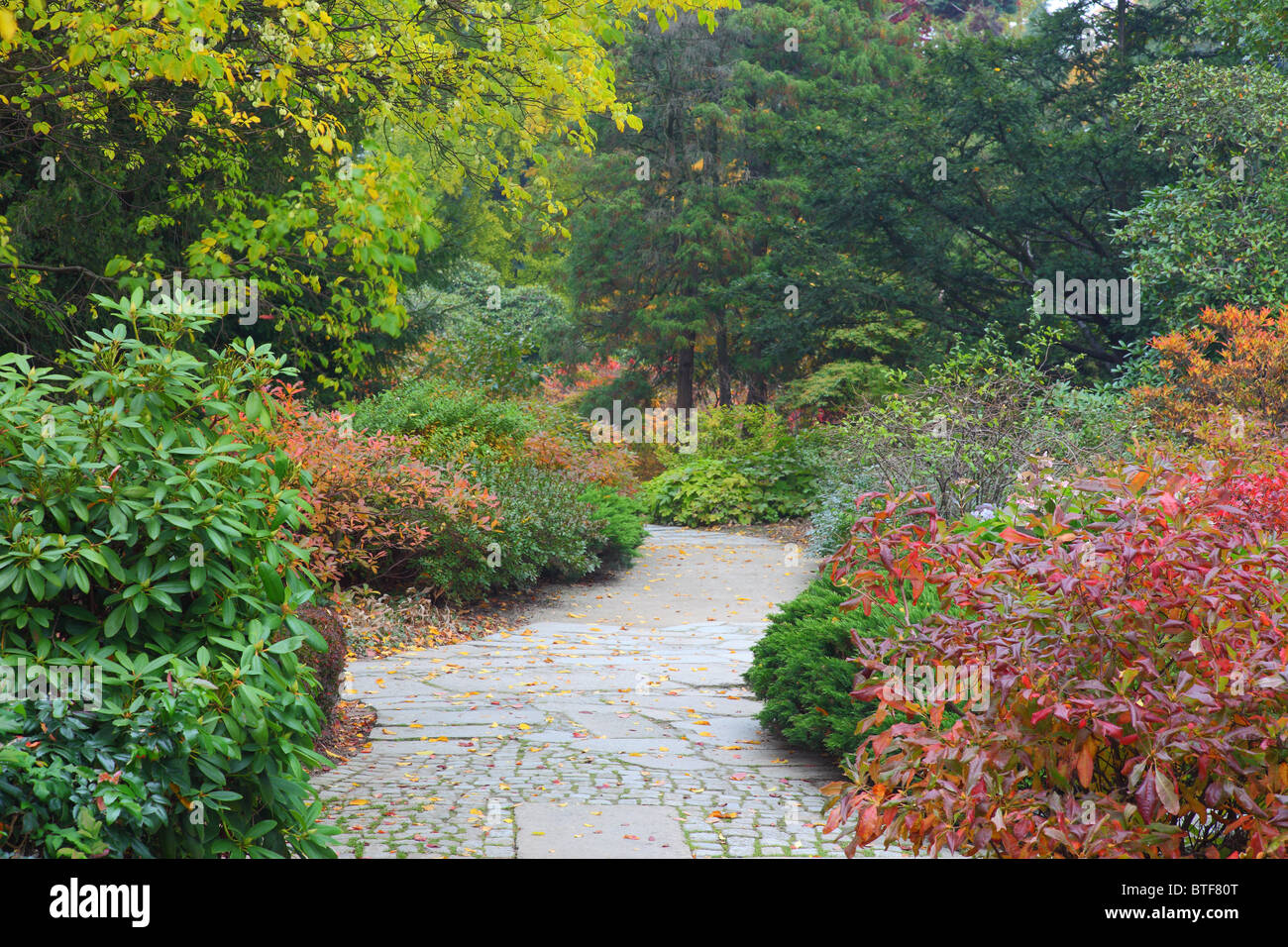 Japanischer Garten stillen ruhigen Gasse im Herbst Wroclaw/Breslau Polen Stockfoto