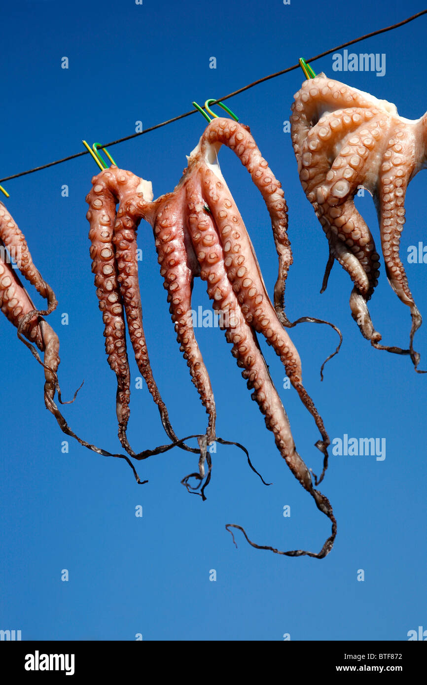 Oktopus hängen zum Trocknen, Kos, Griechenland. Stockfoto