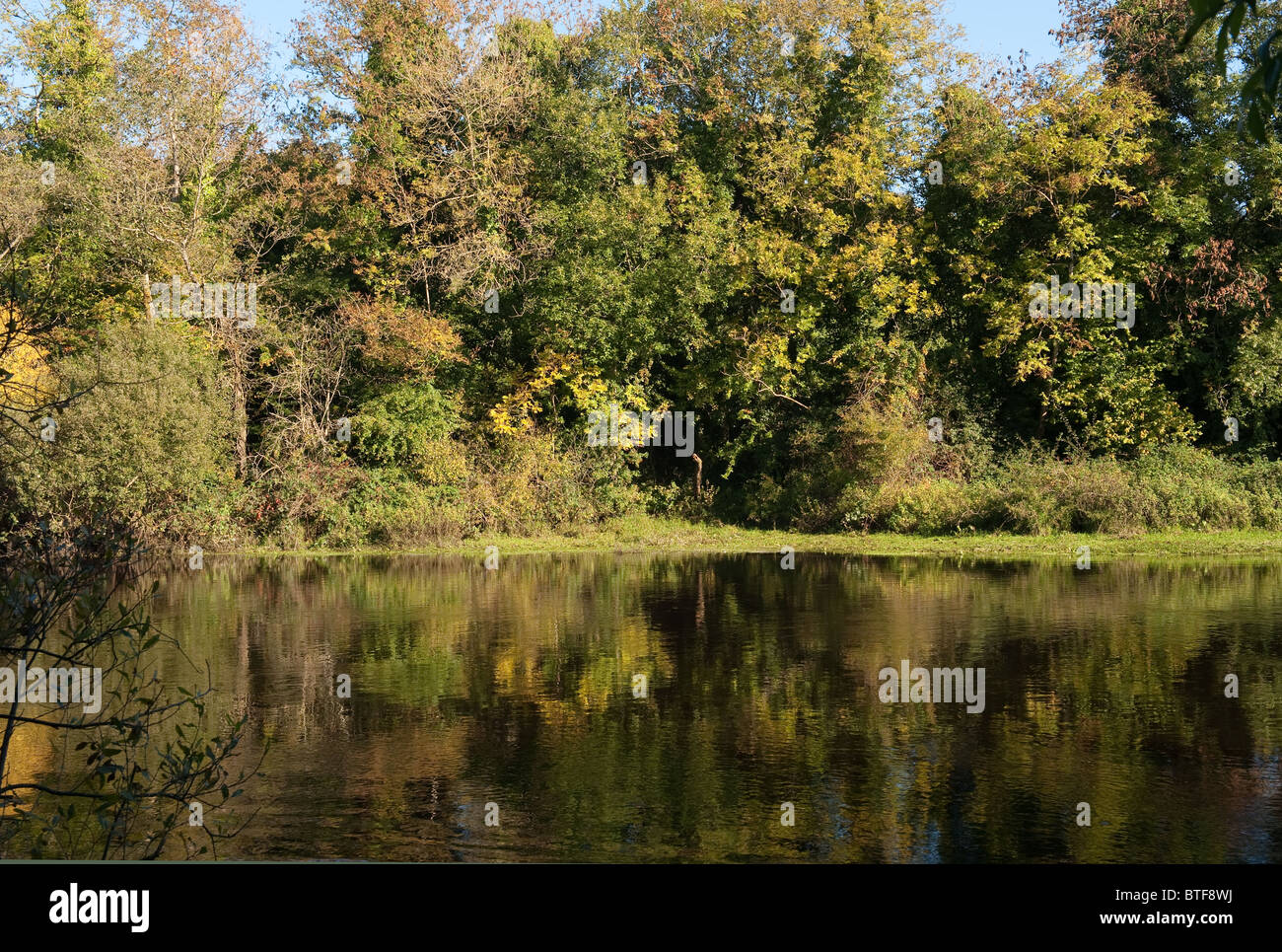 Blick auf den River Erne im Herbst Stockfoto