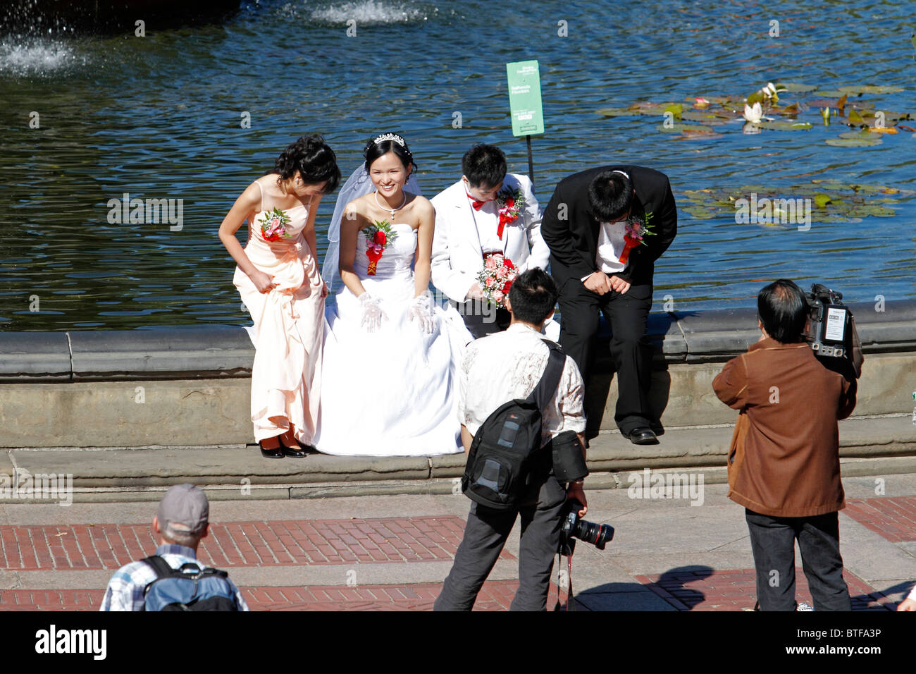 Asiatische Bräute und Bräutigame mit Fotografen im Central Park, NYC Stockfoto