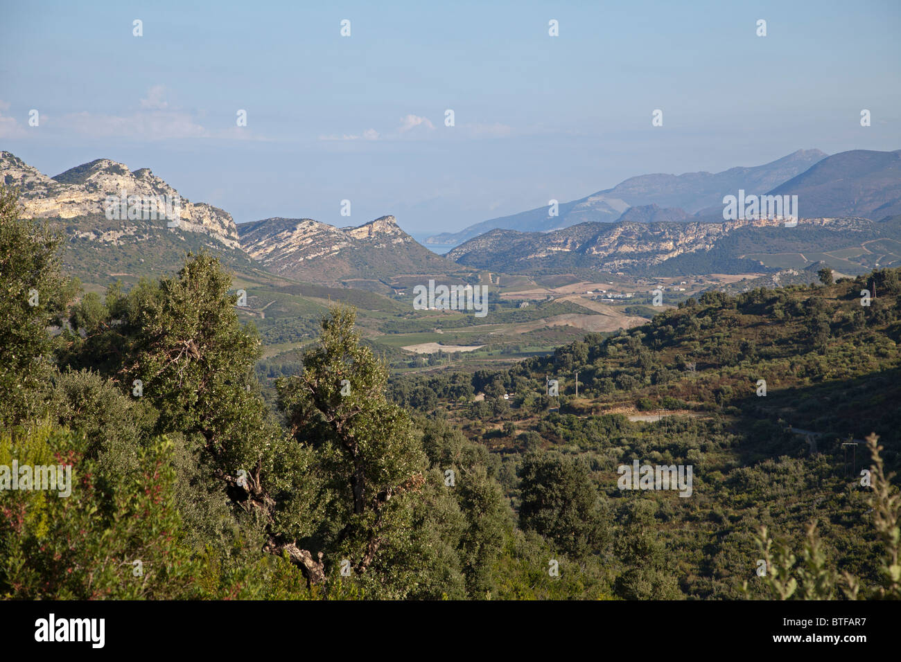 Blick auf das Nebbio aus Oletta Korsika Stockfoto