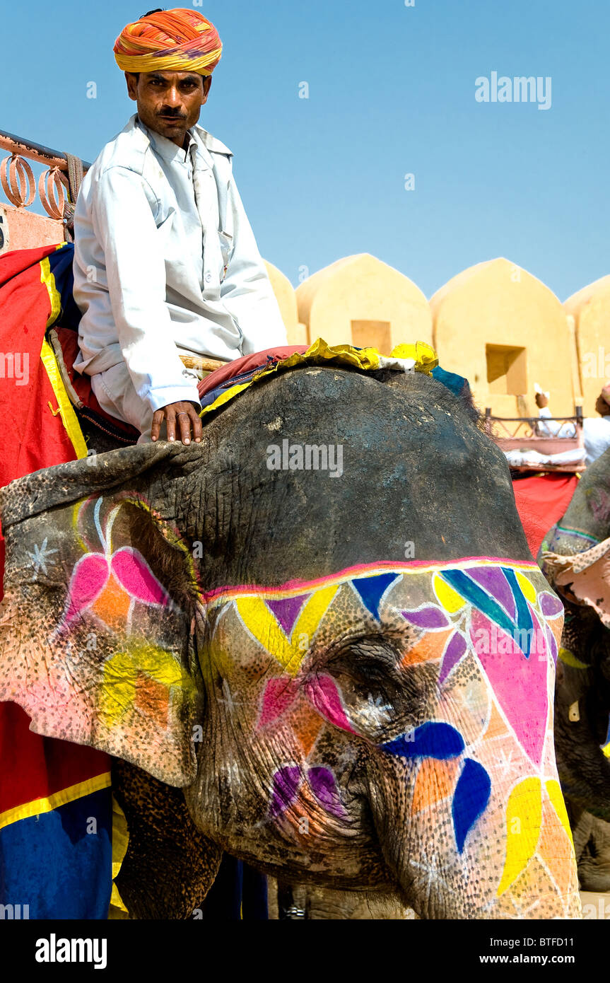 Bemalte Elefanten und Fahrer, Amber Fort Jaigarh, Jaipur, Rajasthan, Indien Stockfoto