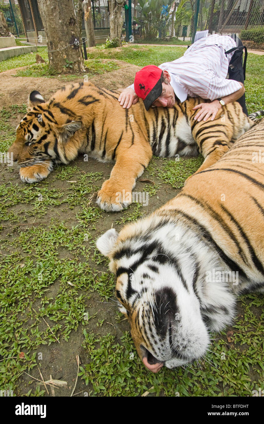 Besuchen Touristen Umarmung, schließen Sie Haustier und Kratzer Tiger unter Aufsicht der Ausbilder im Tiger Kingdom in Chiang Mai, Thailand. Stockfoto