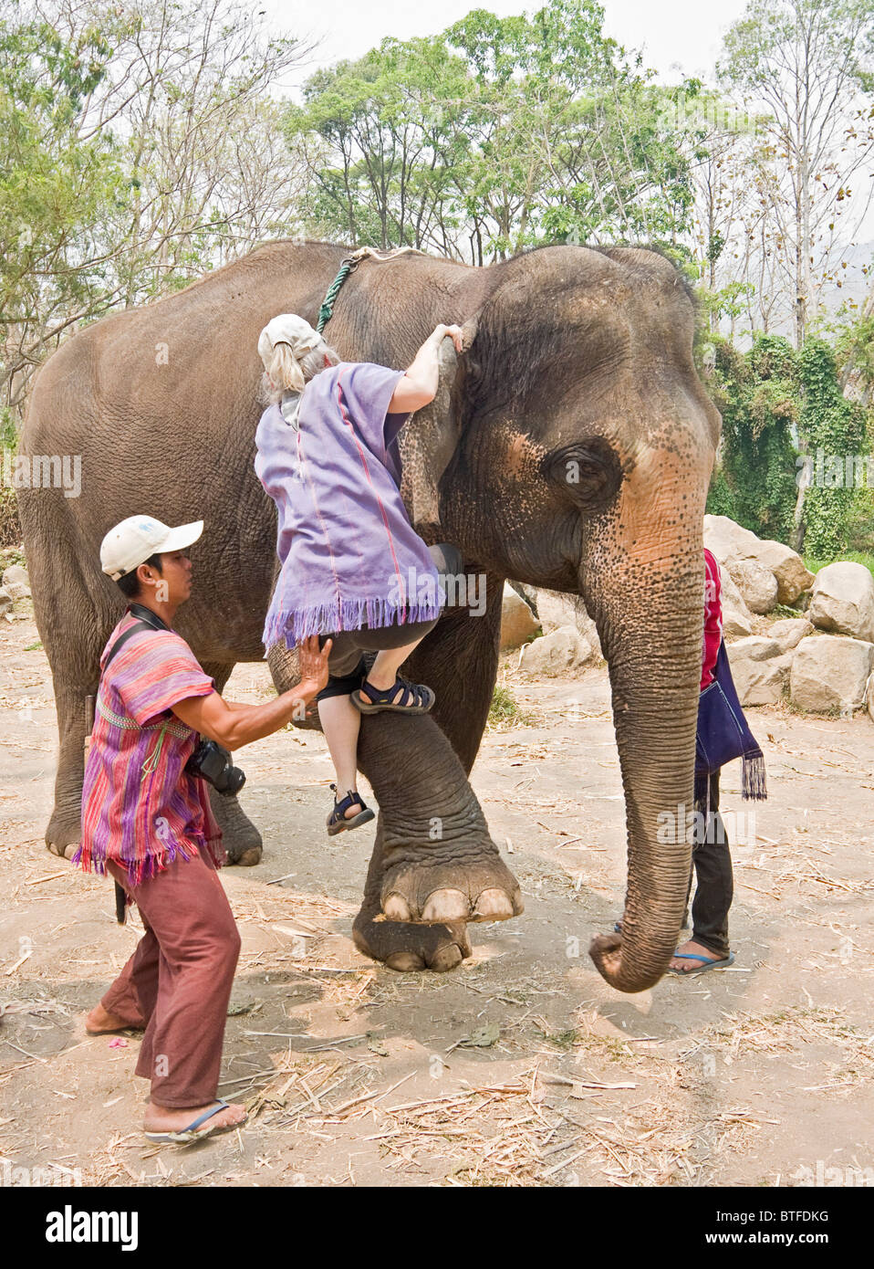 Touristischen klettert an Bord Elefanten im Patara Elefanten Farm, ein Elefant Rettungsaktion im Bereich Chiang Mai Thailand Stockfoto