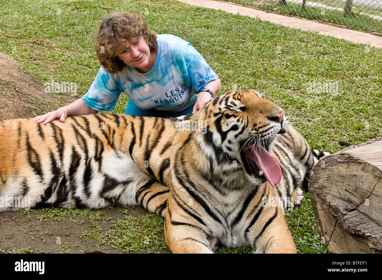Besuchen Touristen Umarmung, schließen Sie Haustier und Kratzer Tiger unter Aufsicht der Ausbilder im Tiger Kingdom in Chiang Mai, Thailand. Stockfoto