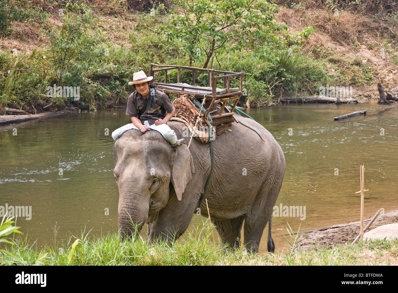Touristischen Elefantenritt, einer der vielen touristischen Aktivitäten in und entlang dem Mae Taeng Fluss in Chiang Mai Gegend von Nord-Thailand Stockfoto
