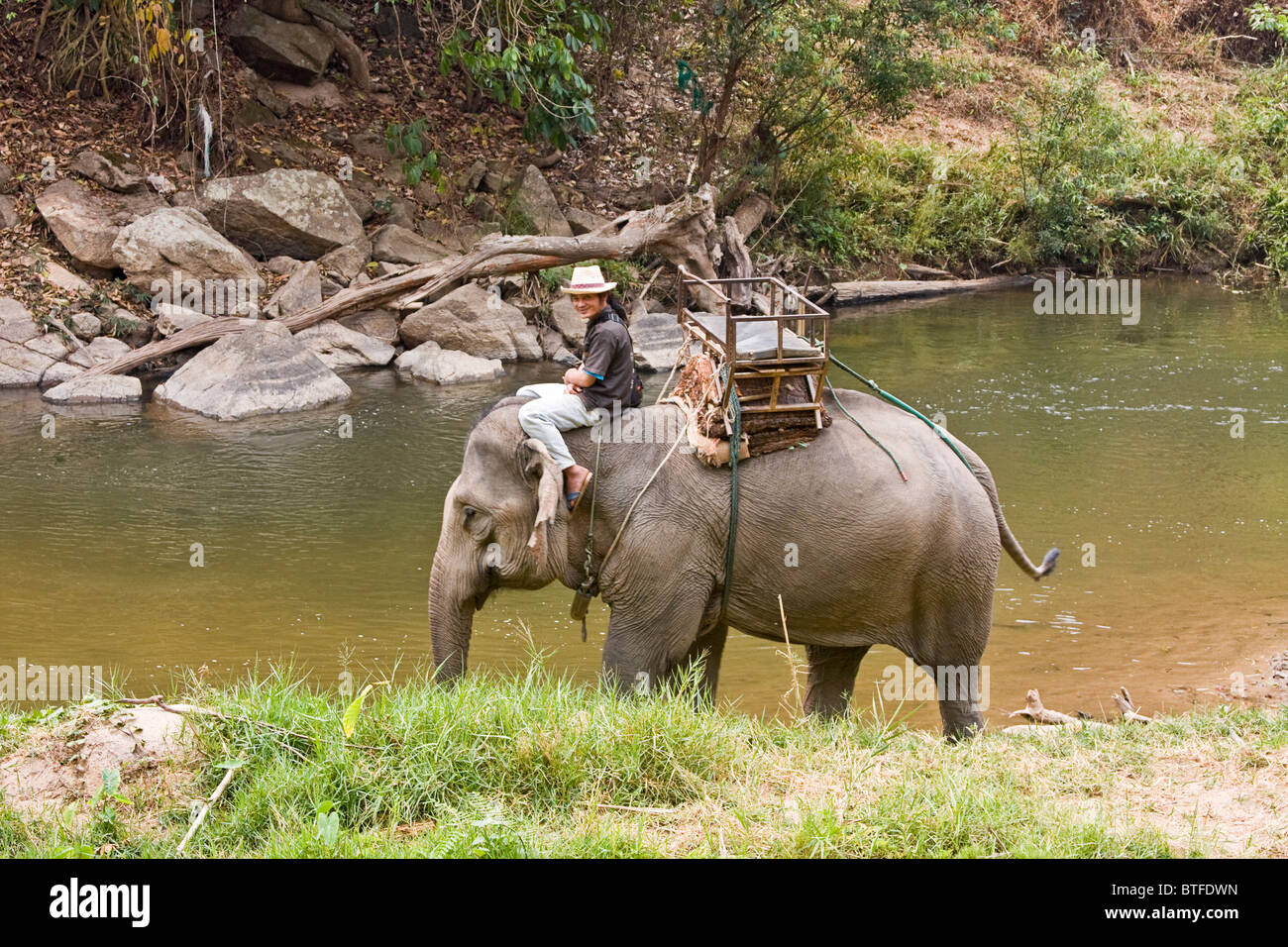 Touristischen Elefantenritt, einer der vielen touristischen Aktivitäten in und entlang dem Mae Taeng Fluss in Chiang Mai Gegend von Nord-Thailand Stockfoto