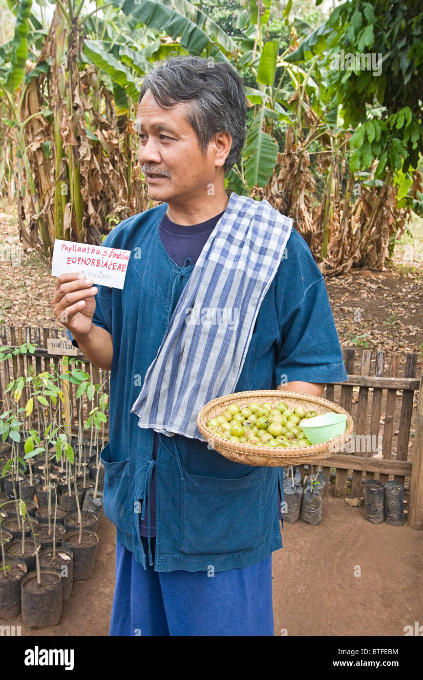 Mann hält Korb mit Samen für Mae Taeng Forest Restoration Project Stockfoto