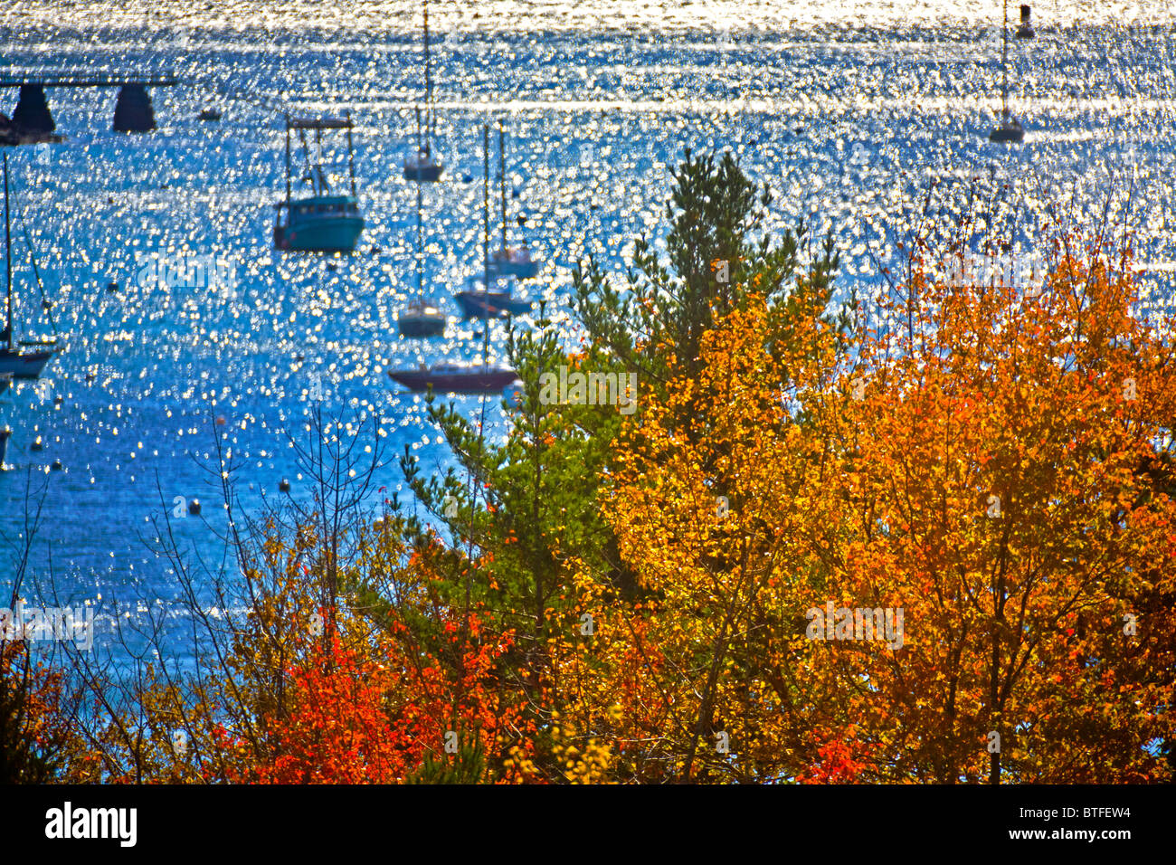Herbstlaub Frame Boote in Northeast Harbor, Maine, auf Mount Desert Island. Stockfoto