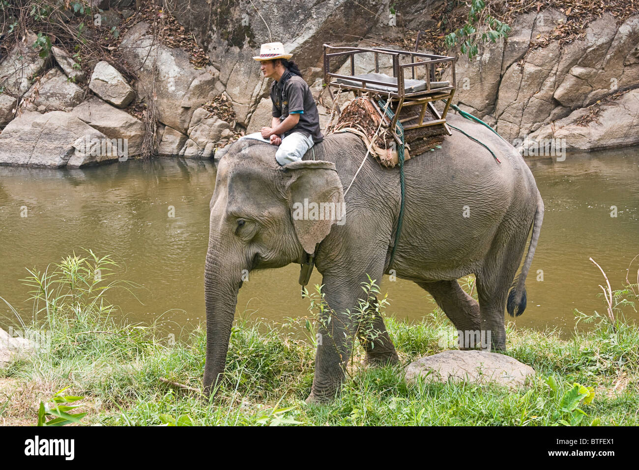 Touristischen Elefantenritt, einer der vielen touristischen Aktivitäten in und entlang dem Mae Taeng Fluss in Chiang Mai Gegend von Nord-Thailand Stockfoto