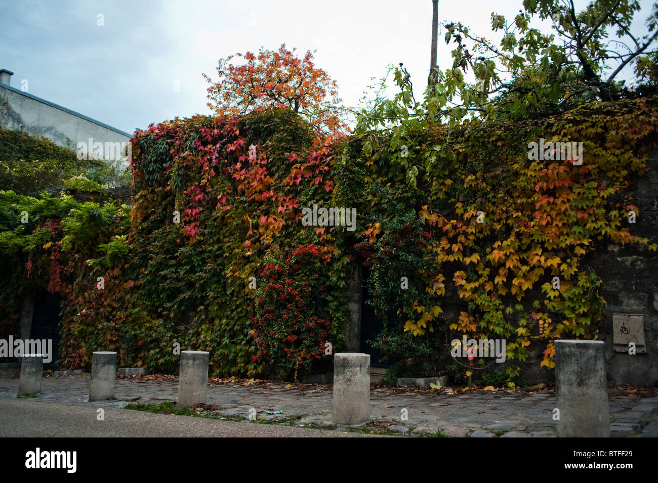 Paris, Frankreich, Gartenmauer im Herbst, Herbstsaison, Montmartre Viertel, Abenddämmerung aus nächster Nähe Stockfoto