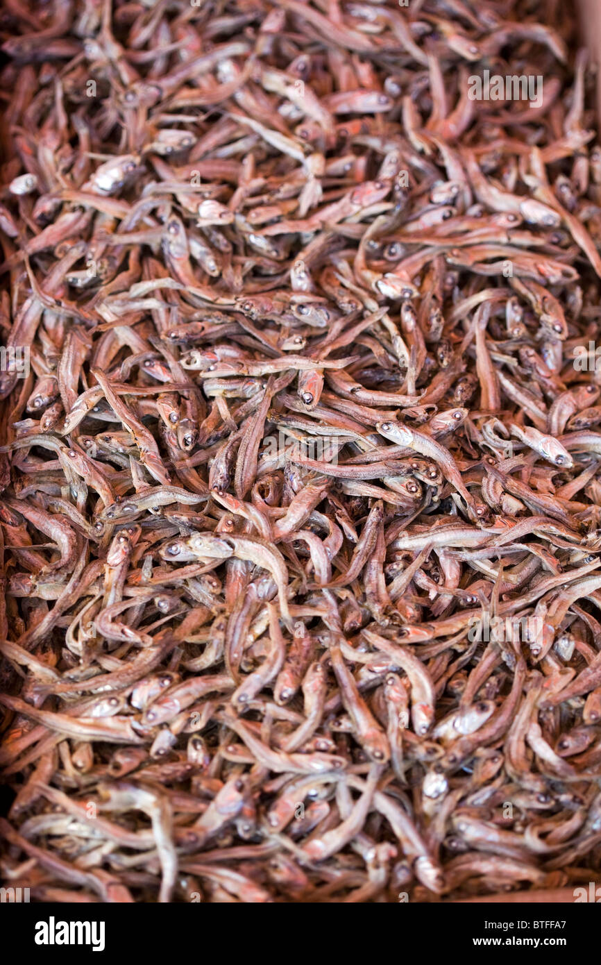 Getrocknete Anchovis zum Verkauf an Jagalchi Fisch Mareket Busan in Südkorea Stockfoto