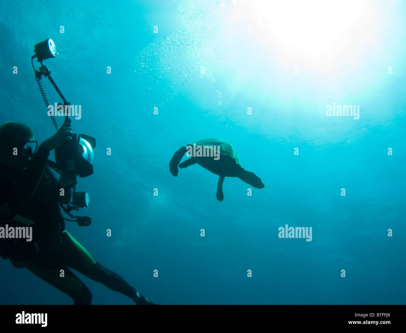 Fotograf und Schildkröte, Nassau, Bahamas Stockfoto