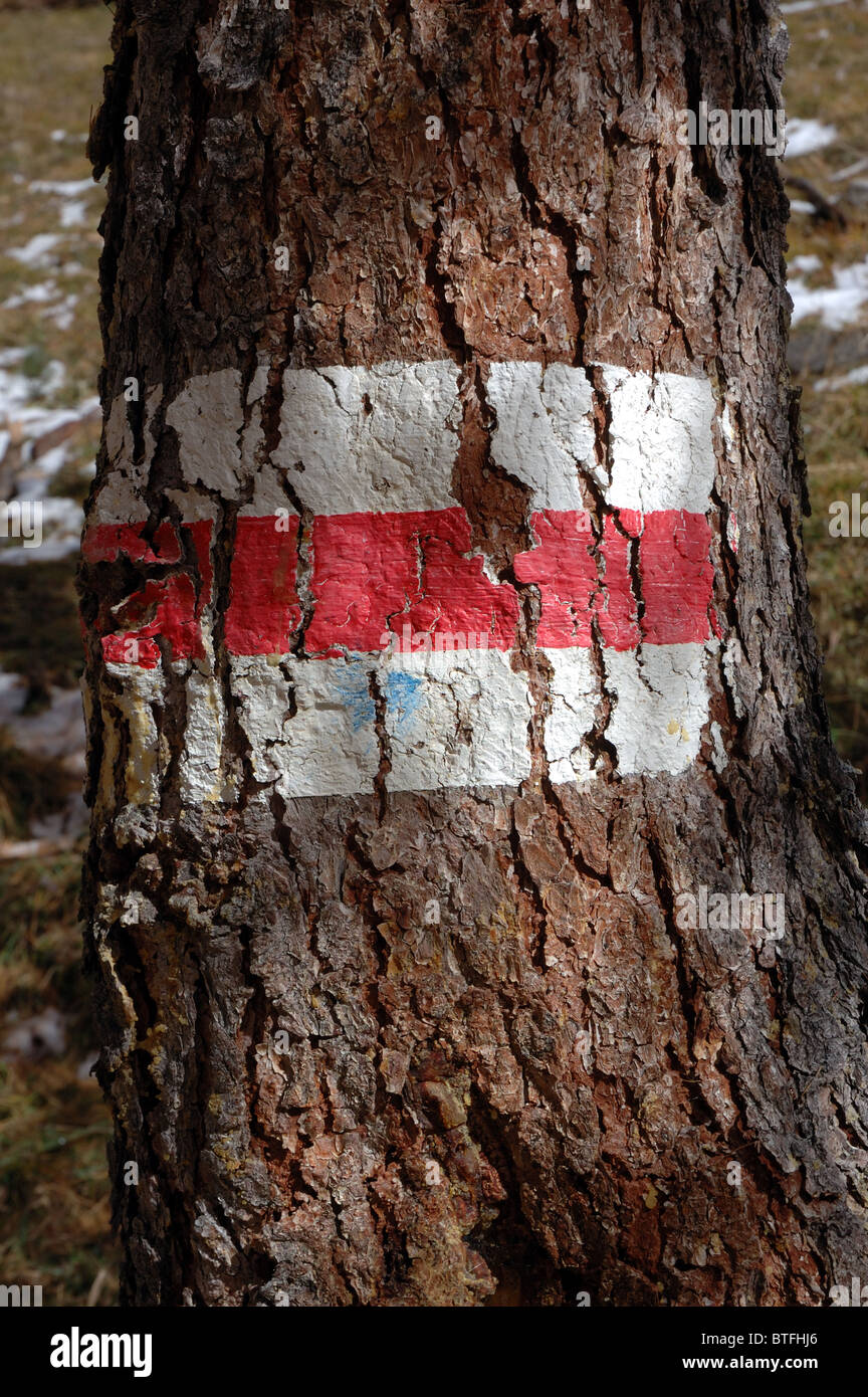 Rote und weiße Pfad Marker gemalt auf Baum im Schweizer Nationalpark, Graubünden Stockfoto