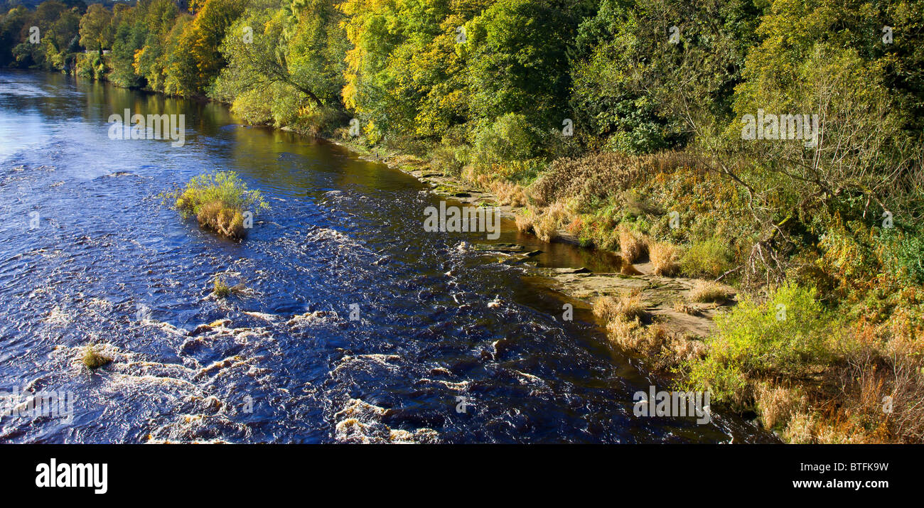 Herbst-Scenic des River Tyne, Bywell, Northumberland Stockfoto