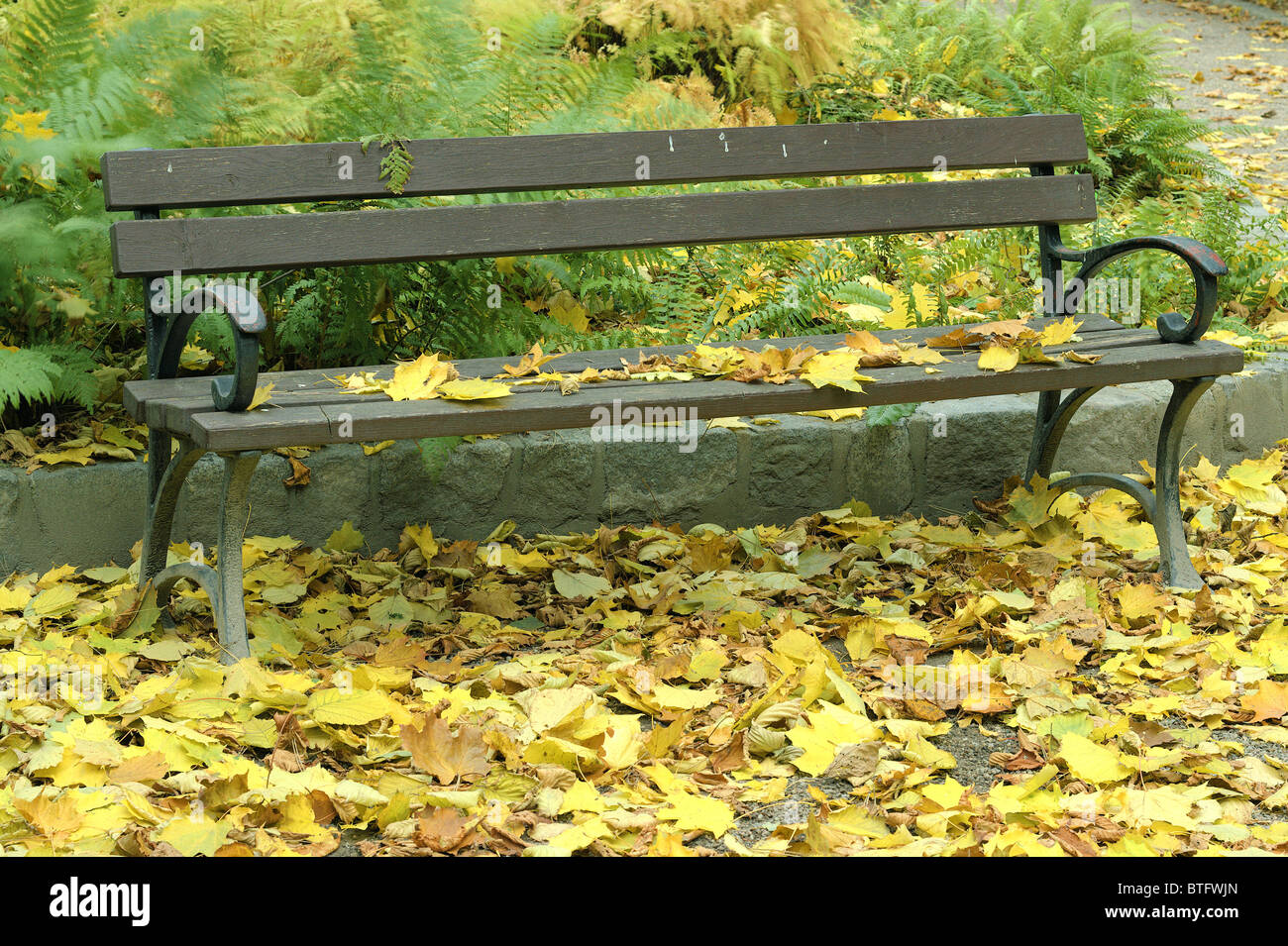 Einsamen Parkbank unter den gefallenen gelben Herbst Blätter Stockfoto