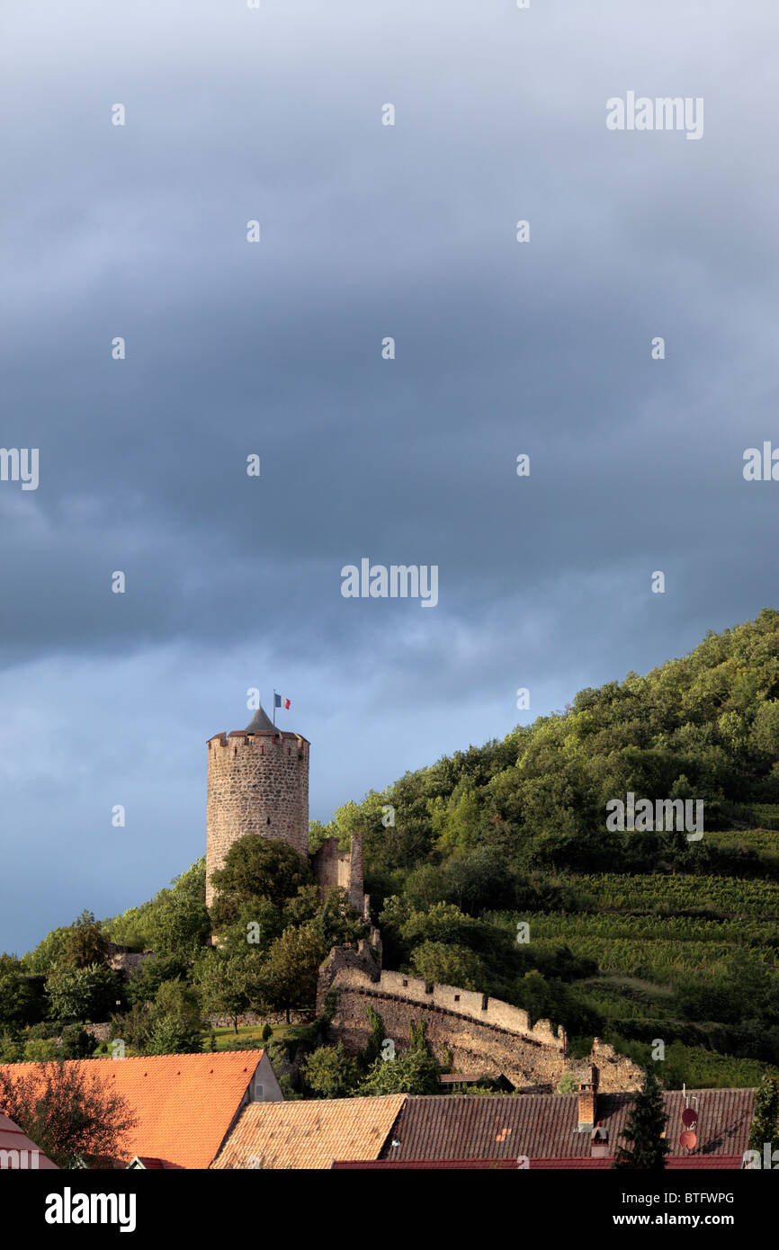 Burg, Kaysersberg, Haut-Rhin Abteilung, Elsass, Frankreich Stockfoto