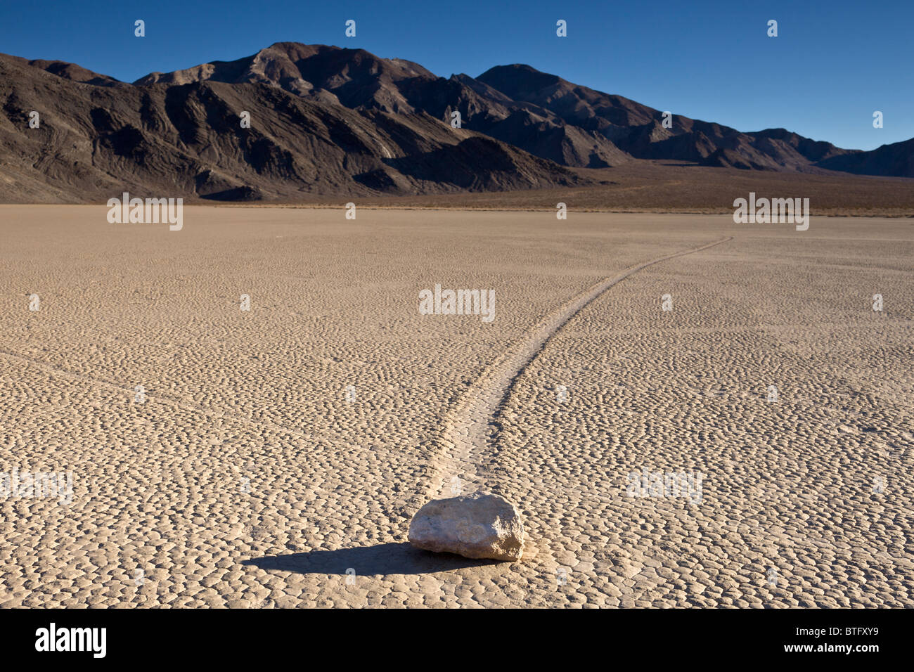 Segeln-Steinen oder gleitenden Felsen bewegen sich auf mysteriöse Weise über The Racetrack Playa in Death Valley Nationalpark, Kalifornien, USA. Stockfoto