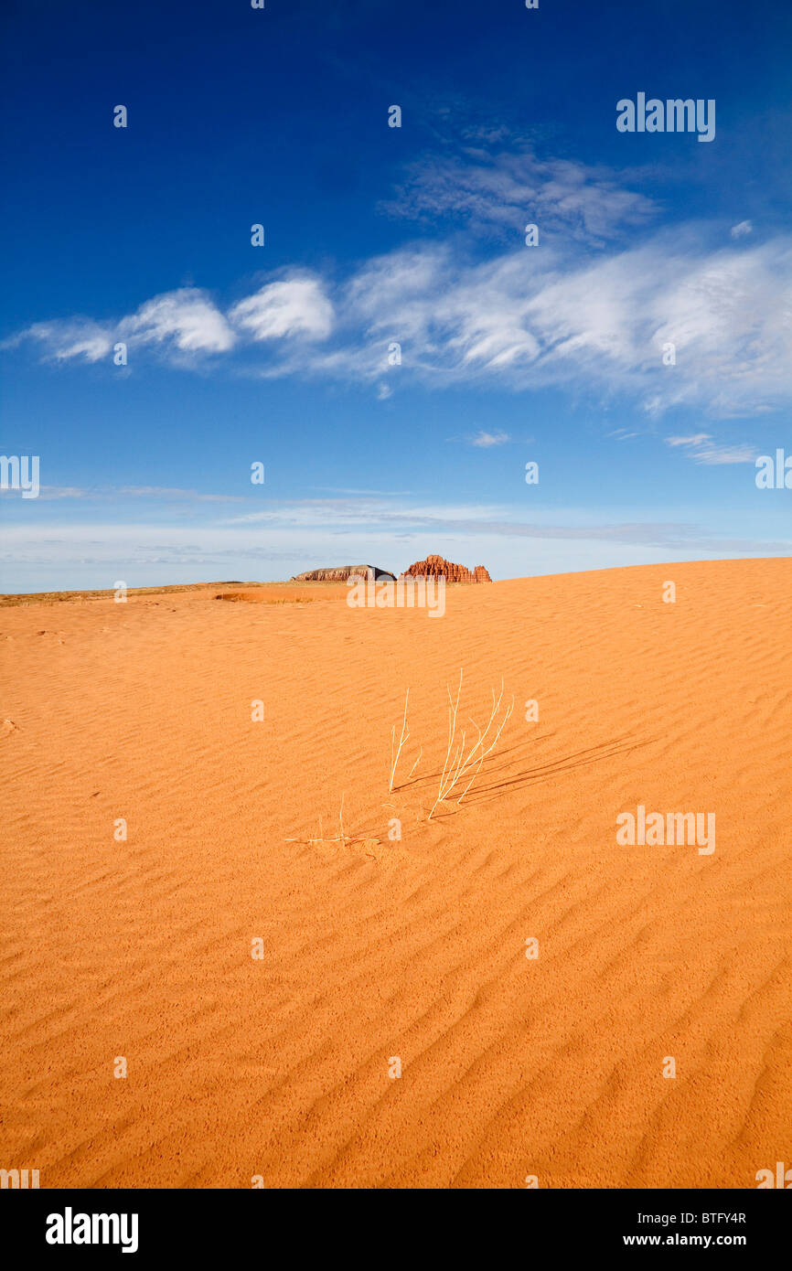 Ausgetrocknete Pflanze in Sanddünen mit Gilson Buttes im Hintergrund in der San Rafael-Wüste des südlichen Utah zu trocknen. Stockfoto