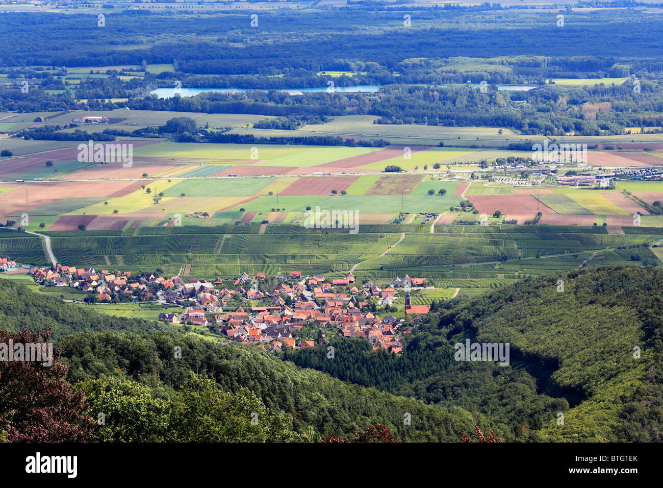 Blick auf die elsässische Ebene, Haut-Koenigsbourg Burg, Orschwiller, Elsass, Frankreich Stockfoto