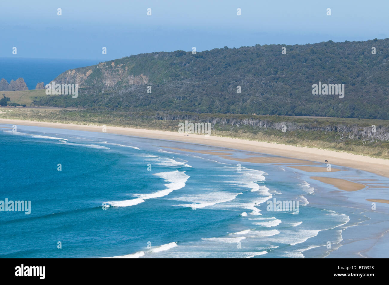 Florenz Hill Lookout, Jungfrau, Regenwald, Tautuka, Strand Bucht und Halbinsel, Pillans Kopf Isle, Catlins Conservation Park, South Island, Neuseeland Stockfoto