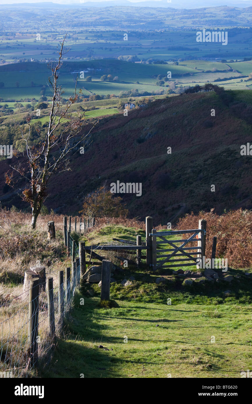 Corndon Hill in der Nähe von Bischofsburg, Shropshire, in die Shropshire Hügel Gebiet von außergewöhnlicher natürlicher Schönheit, England Stockfoto