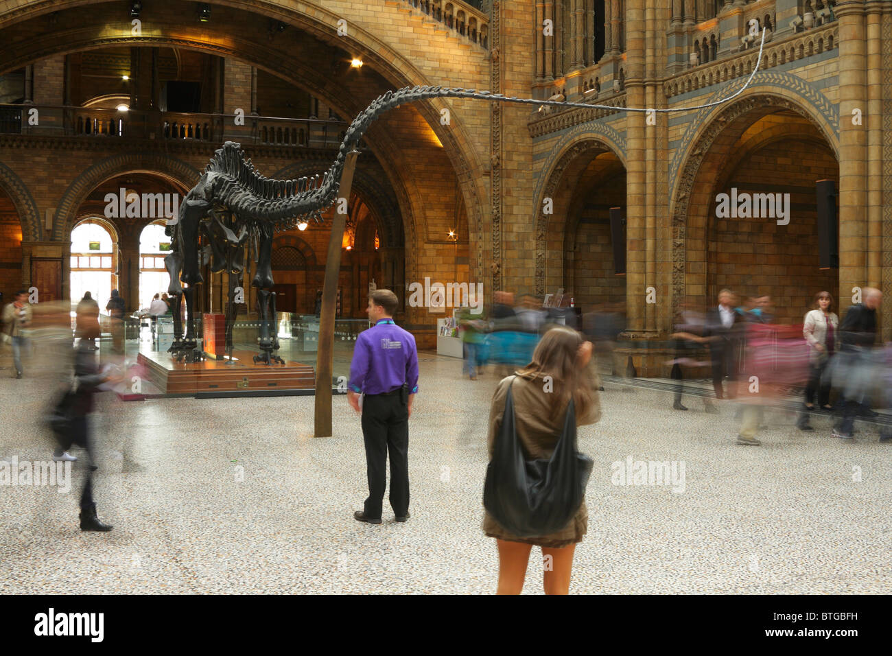 Museum-Telefonzentrale schaut auf Dinosaurier in der Haupthalle des Natural History Museums wie Menschen passieren Stockfoto