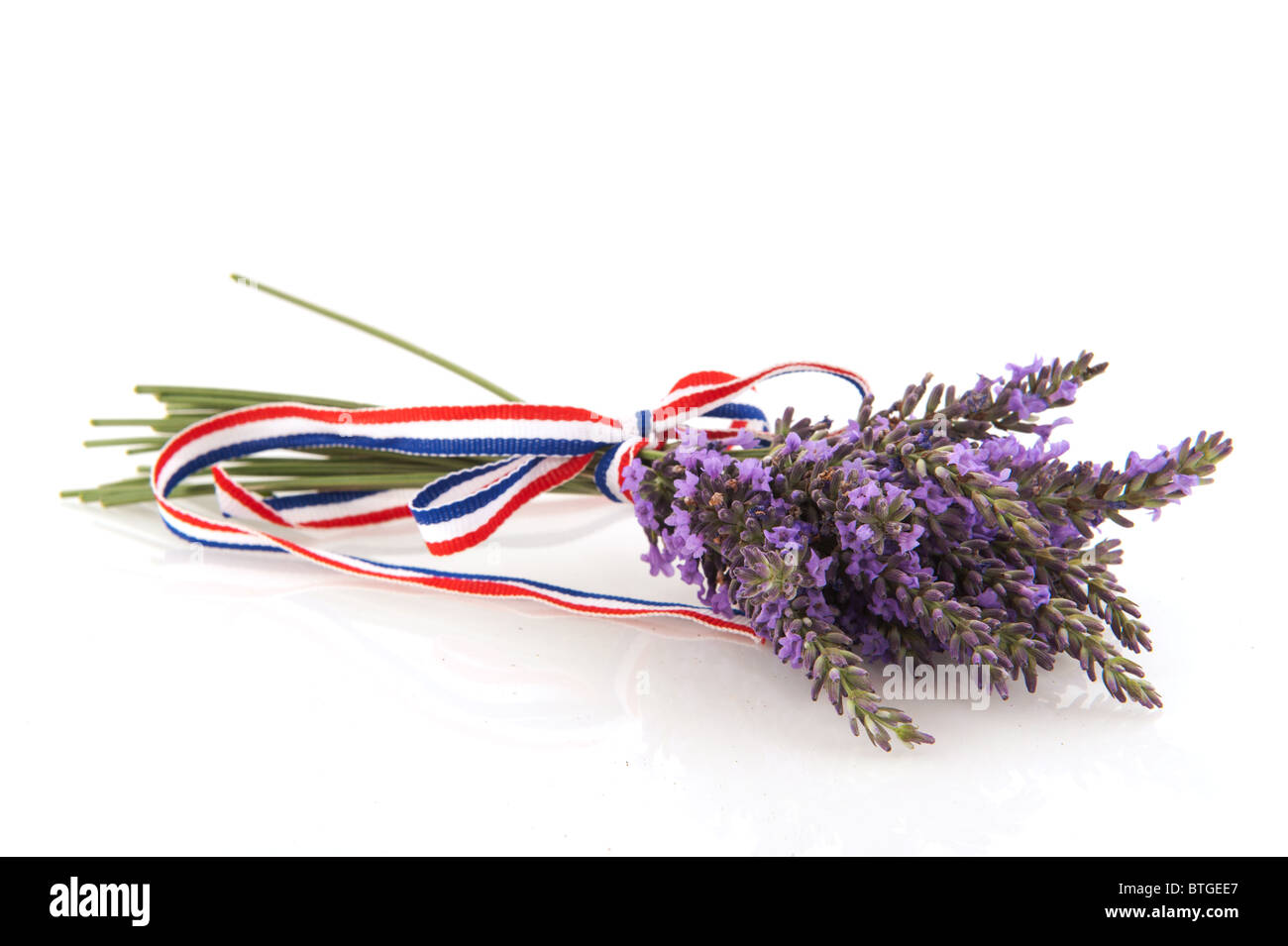 Französischen Lavendel Strauß mit Schleife über weißen isoliert Stockfoto