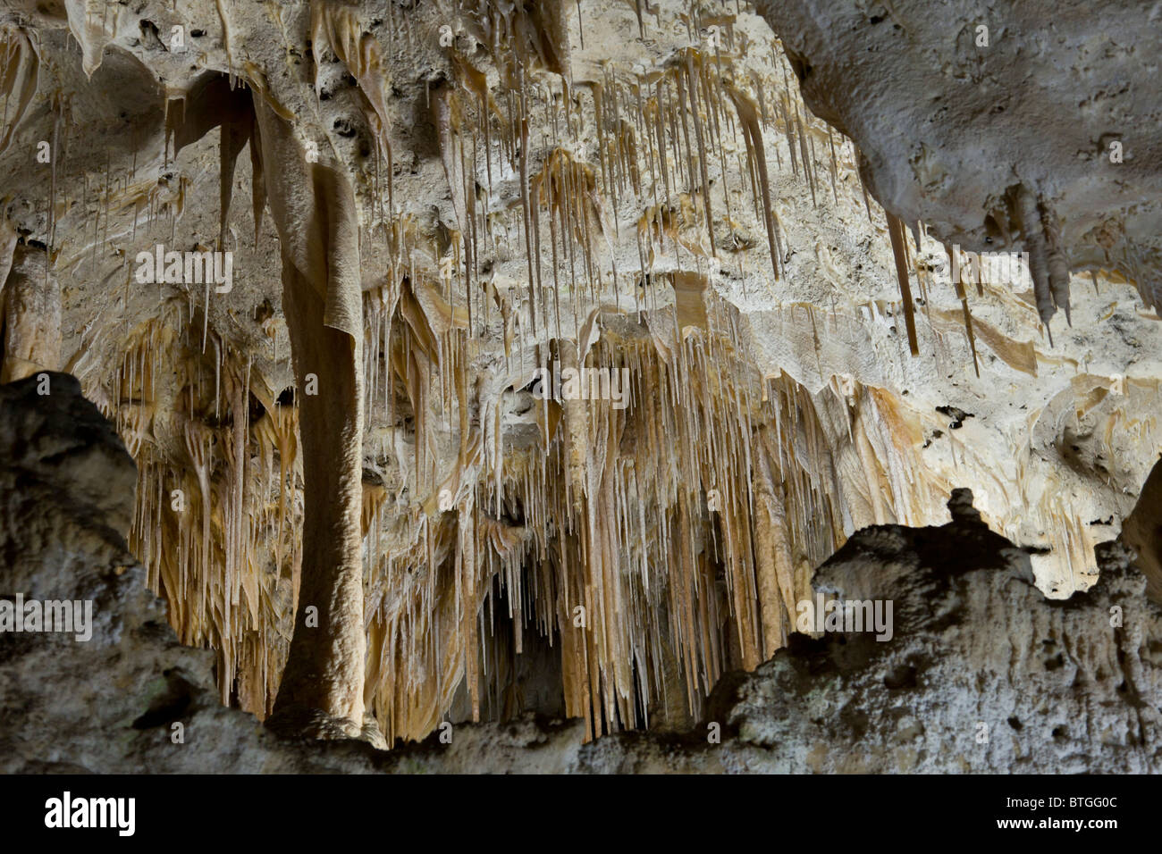 Malte Grotte in Carlsbad Caverns National Park dekoriert mit Calcit Tropfsteine und Soda Strohhalmen. New Mexico, USA. Stockfoto