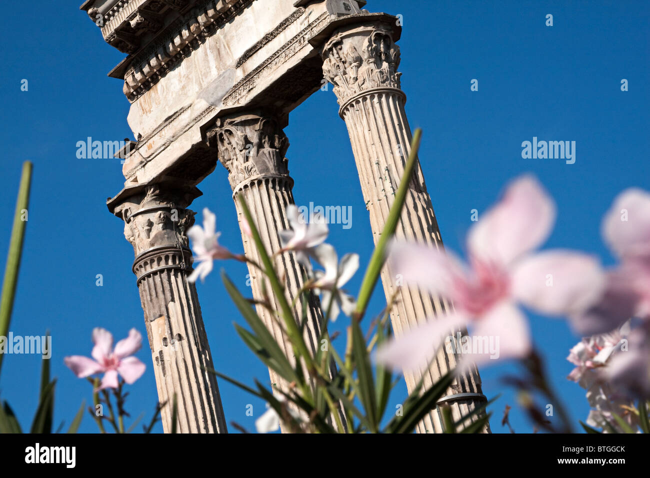 Detail der Tempel des Castor und Pollux. Beispiel für Korinth Hauptstadt. Forum Romanum, Rom Italien Stockfoto