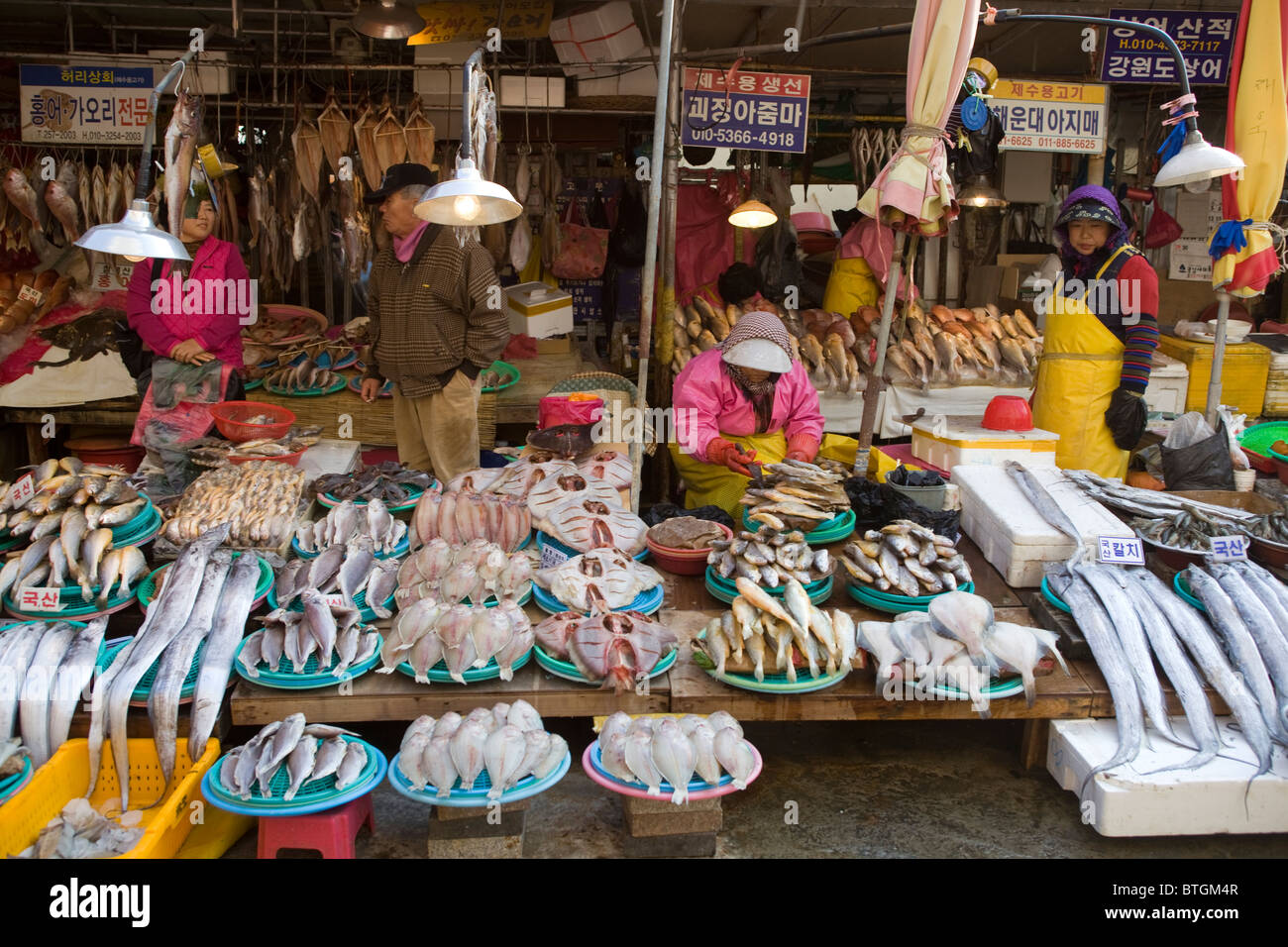 Jagalchi Fisch Markt Busan in Südkorea Stockfoto