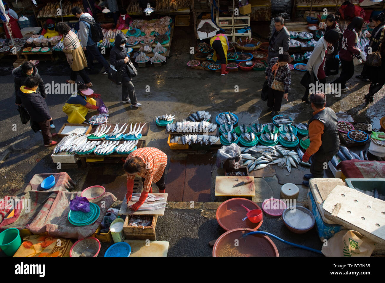 Jagalchi Fisch Markt Busan in Südkorea Stockfoto