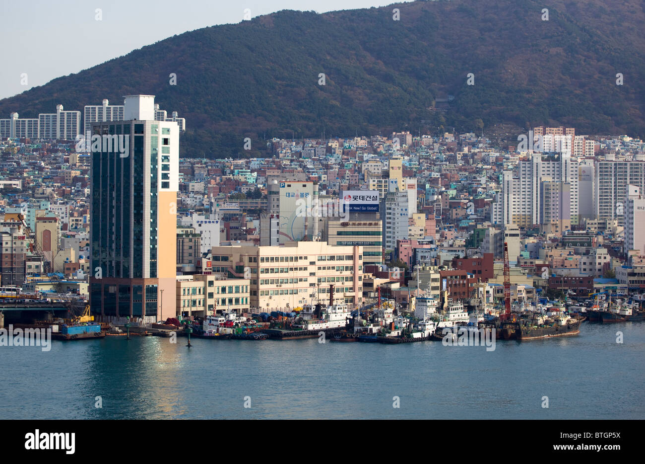 Jagalchi Fisch Markt Busan in Südkorea Stockfoto