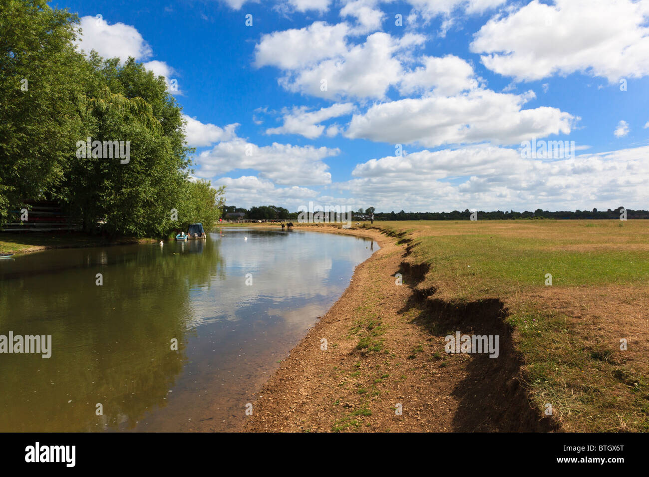Attraktive Flussblick Wolvercote Common, Oxford mit entfernten festgemachten Boote, Vieh und dogwalker, Oxfordshire, Vereinigtes Königreich Stockfoto