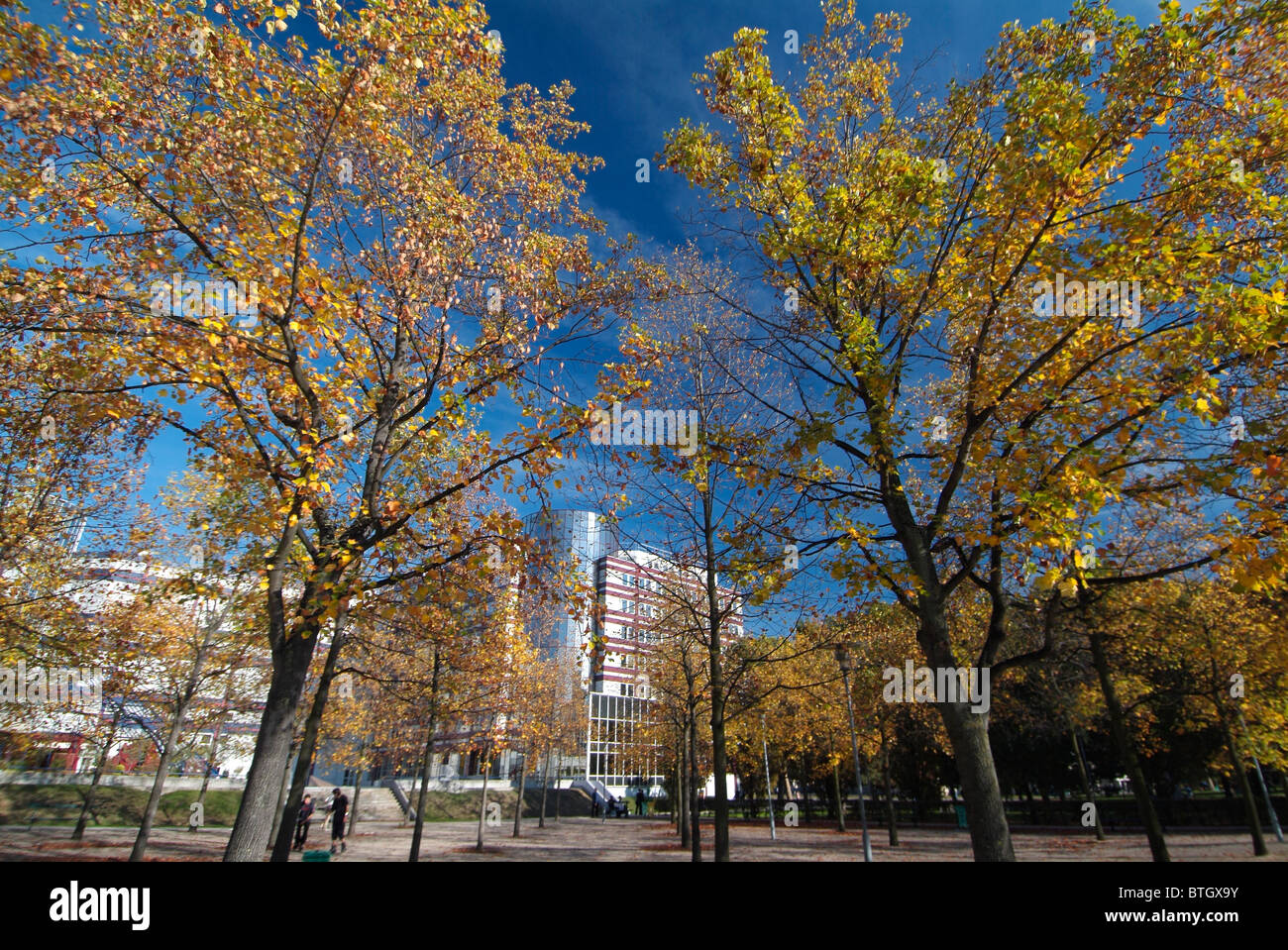 Park mit Bäumen in der Nähe von Bercy in der Innenstadt von Paris, Hauptstadt von Frankreich Stockfoto