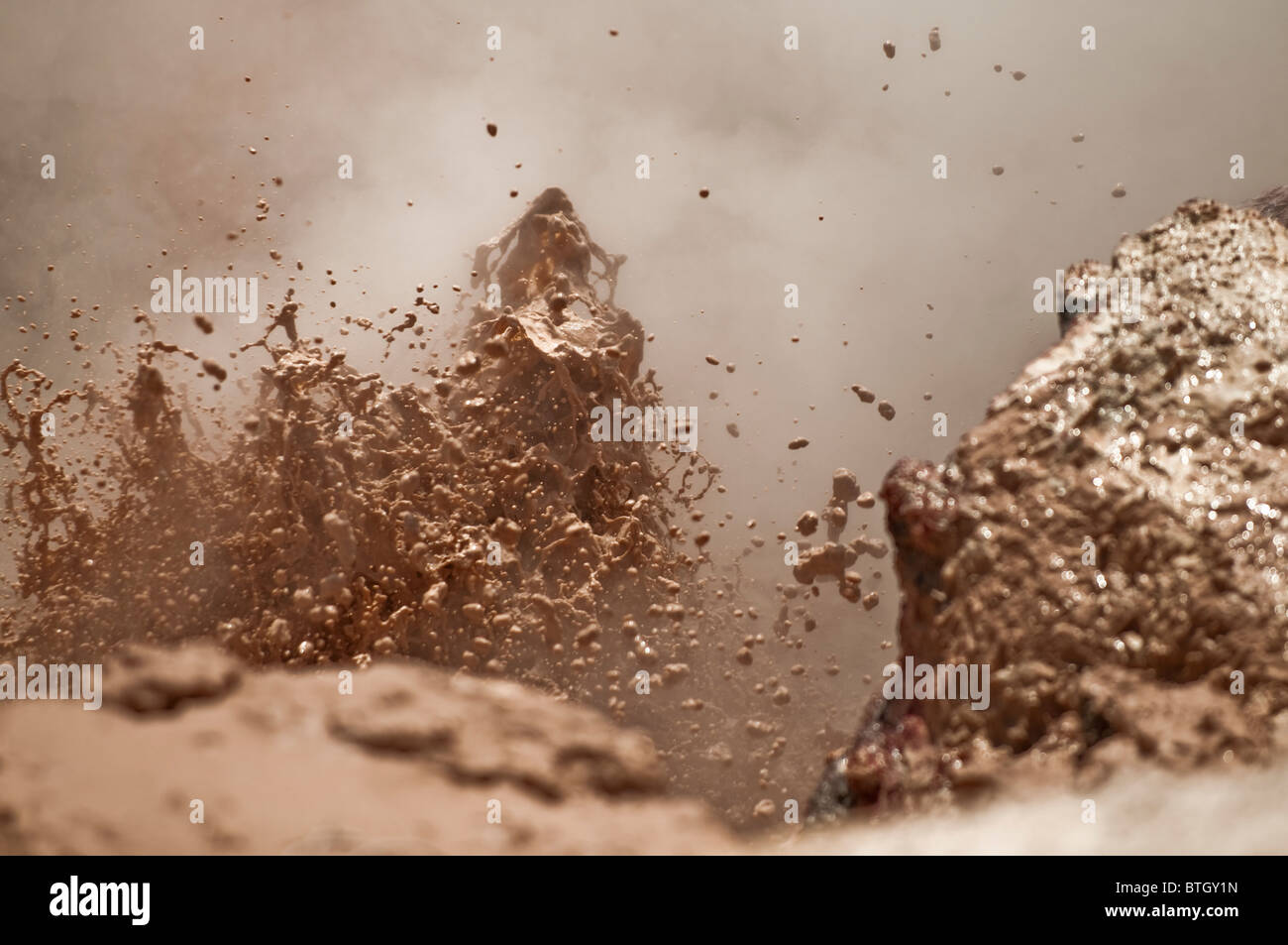 Schlamm-Geysir im Nationalpark Stockfoto