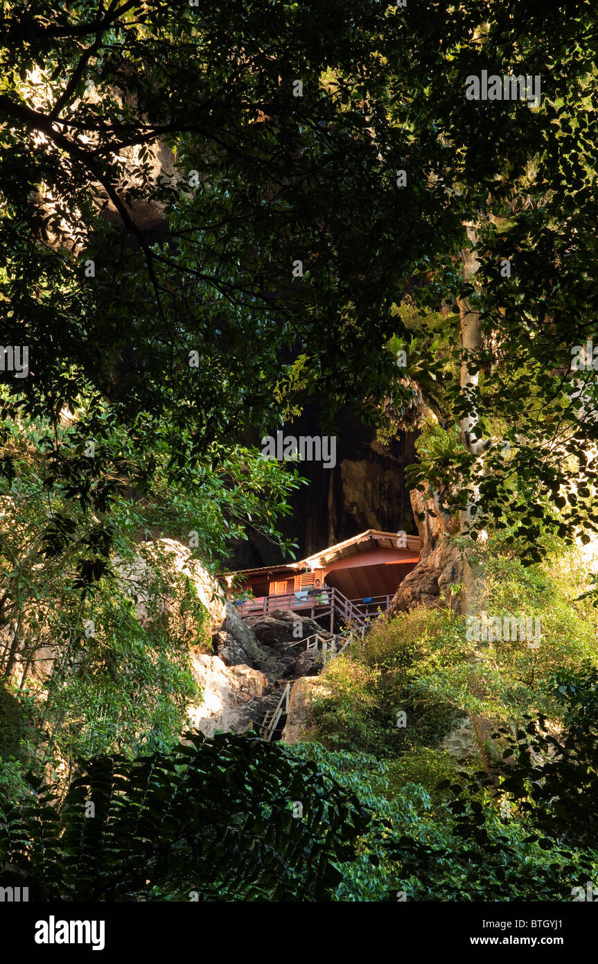 Schwalben nisten Sammler stehen in seinem Haus gebaut in einer Höhle öffnen hoch auf einer Klippe in den dichten Regenwald auf Borneo Stockfoto